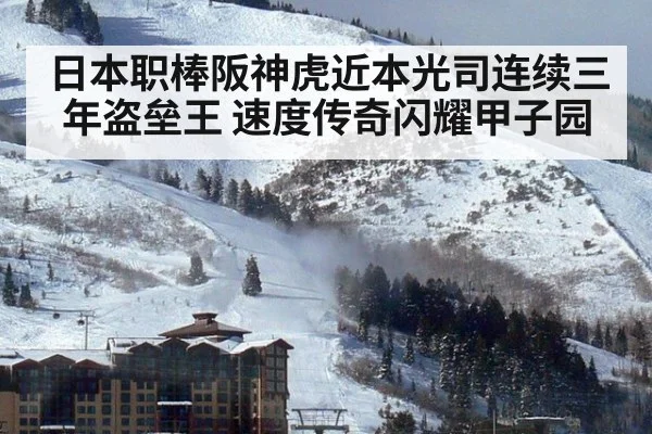 日本职棒阪神虎近本光司连续三年盗垒王 速度传奇闪耀甲子园