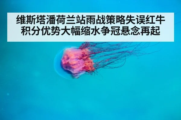 维斯塔潘荷兰站雨战策略失误红牛积分优势大幅缩水争冠悬念再起